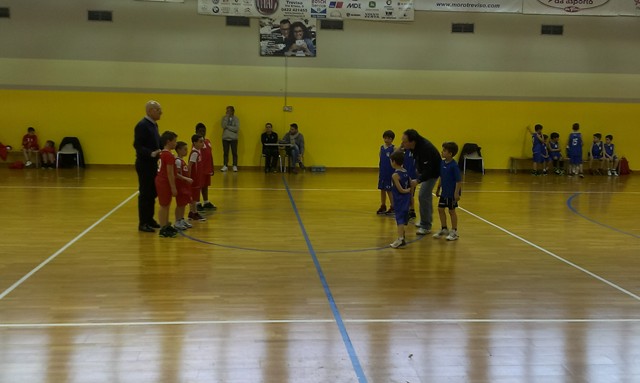 pool olimpia sile sqr
