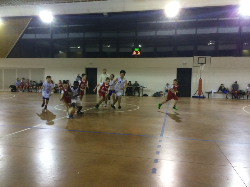 pool olimpia sile sqr