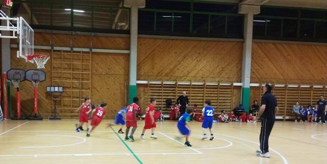 pool olimpia sile sqr